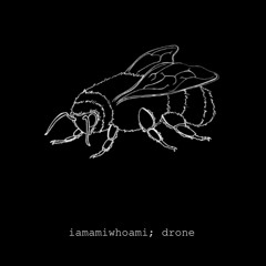 iamamiwhoami; the deadlock