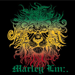 Marley Lm - Pa la lleca