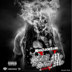 WAKA FLOCKA SALUTE ME OR SHOOT ME MIXTAPE