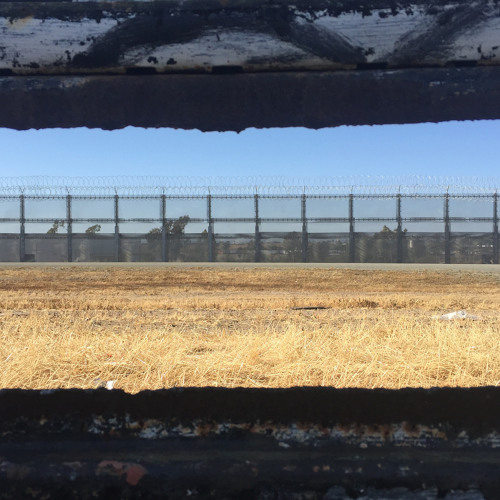 Stephanie Canizales Q&A On Unaccompanied Minors