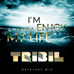 Im gonna enjoy my life (Original Mix)
