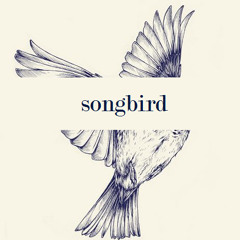 Songbird (Fleetwood Mac/Glee cover)
