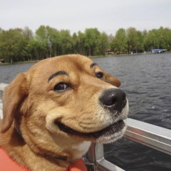 ( ͡°ᴥ ͡° ʋ) Premium Jams