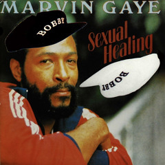 Two Can Play Sexual Healing (Annie O Mashup)