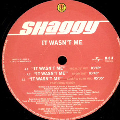 Shaggy - It Wasn't Me (Crash & Burn Mix)