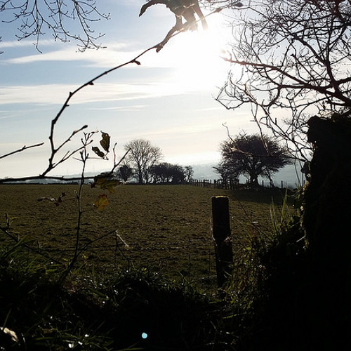 You'll Find Your Way (mix)