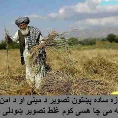 Za Pukhtoon Yam