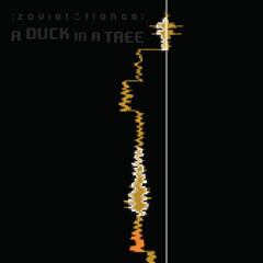 :zoviet*france: A Duck in a Tree | An Error in the Azimuth