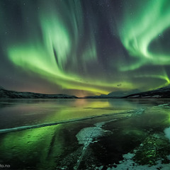 Aurora (Summer is coming Jane Snow)