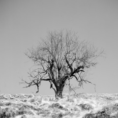 08 喜瑪拉雅山 Himalayas