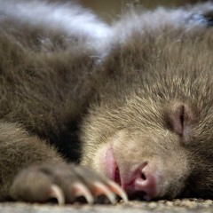 When I Close My Eyes..... By Charles Keyz™ 2015