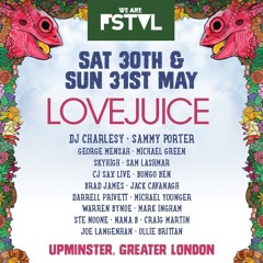 WE ARE LOVEJUICE MIX Vol 11: WE ARE FSTVL 2015