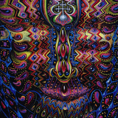 STS9-Water Song (Chicago House of Blues 03/07/15)