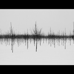 Heartbeat *Chill Piano*