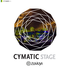 Reborn Soul - Organic Touch