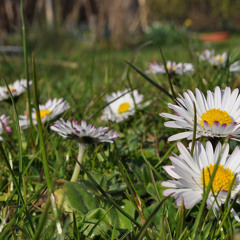 It's all not over, yet!