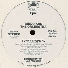 Biddu Orchestra - Funky Tropical (Benjamin Ferreira E Bernardo Pinheiro Edit) FREE DOWNLOAD
