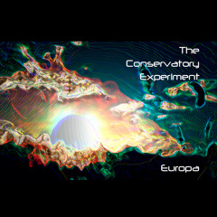 Large Colonies In Space