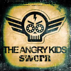 The Angry Kids - Sun Is Shining vs. Bob Marley