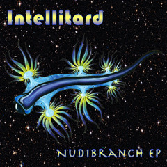 Intellitard - Filling a Hole That Isn't Empty [PREMIERE]