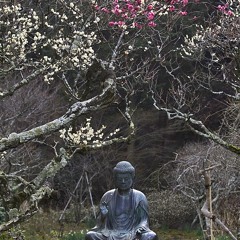Ume