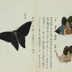 sleeping in a cloud {buchla, motm, ms20, dx7}