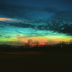 Freddie Gray Mike Brown