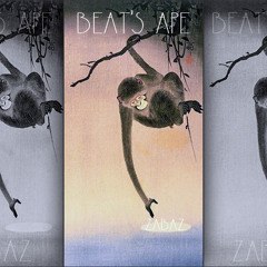 2.Mr Magorium - Zabaz [beat's Ape]