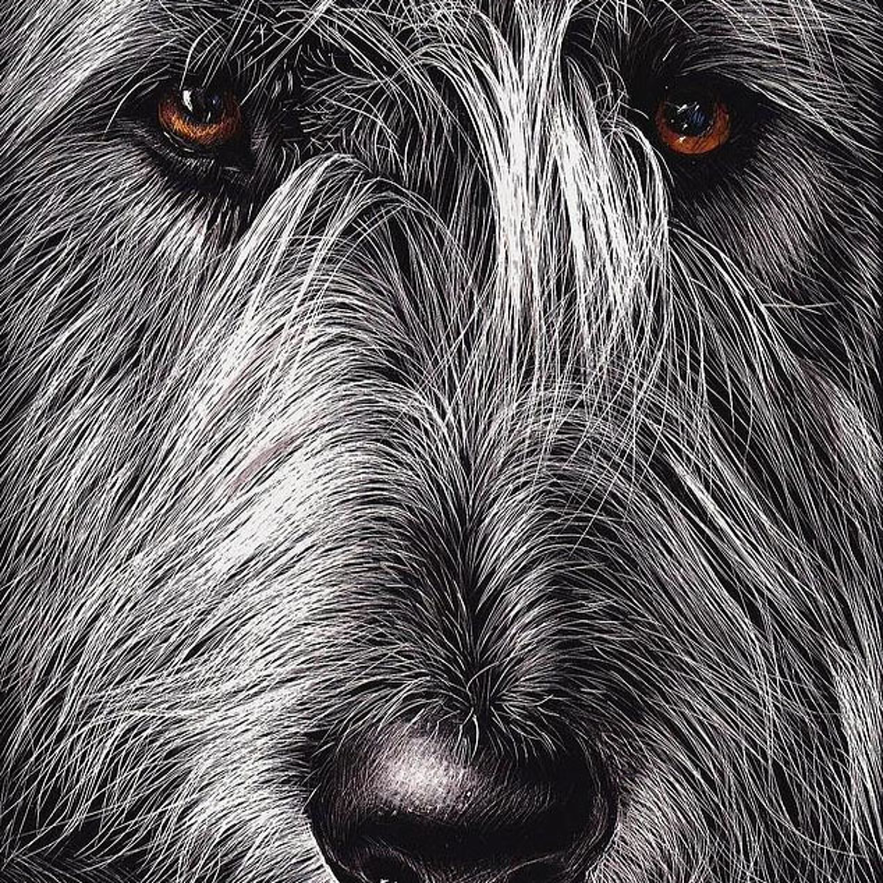 Wield The Wolfhound