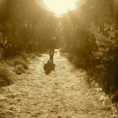 Down This Old Dirt Road