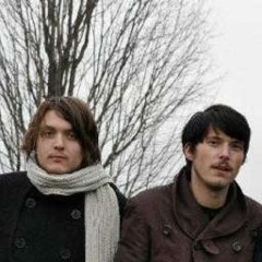 Hot Venom (Miniature Tigers) [Extended Remix]