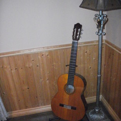 LIVE RECORD GUITAR ACCOUSTIC LA PRINCESSE TOME 1