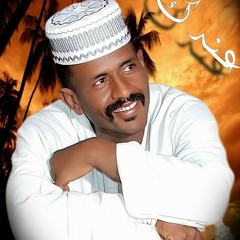 محمد النصري أماني