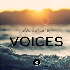 Wolfsnare - Voices (Original Mix)