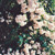 Artwork for Ones Who Love You (Alvvays Cover)