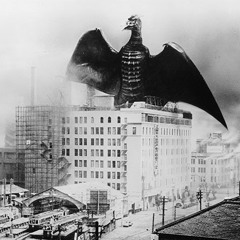 Rodan - Gotham