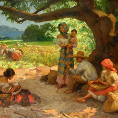 Mango Trees