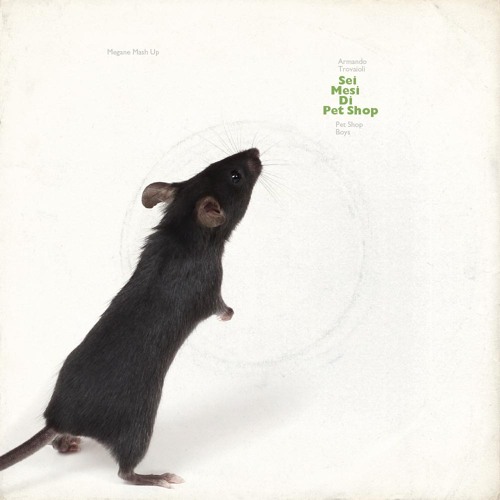Pet Shop Boys - Home And Dry - Oberheim DMX 1984 Remix