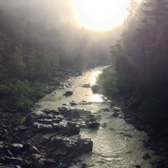 Morning Rain and Birds - Sierra Nevada Foothills