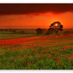 B. Recommends X Radio - SpringTape2015