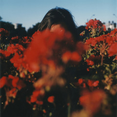 the lovely, lonely stranger