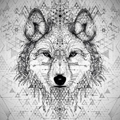 Ionut Andrei May1 - 2015