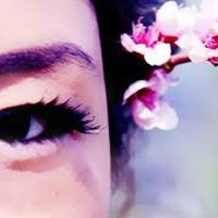 Lo Nang Mey by Tshewang Lhamo
