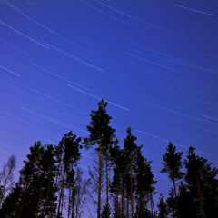 The perilous company of sweet echoes on summer nights