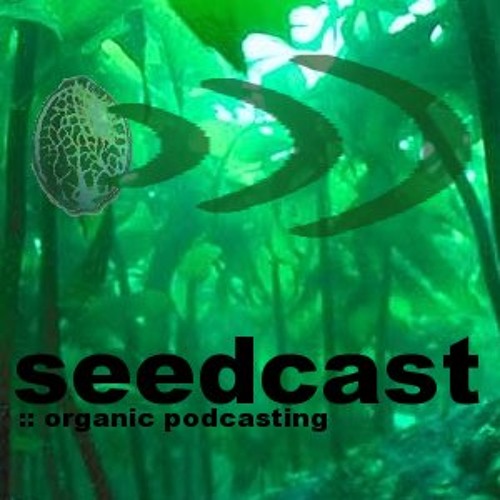Seedcast - Episode 1: In Your Ear