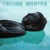 Artwork for Falling Mantra
