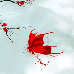 A Bloody Story