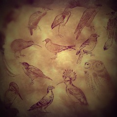 Ben-Cat__Los pajaros(original mix) *Test