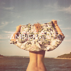 Data Tape #1 : Beach Disco (AmbientData Summer Compilation)
