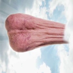 Big Garry's trap mix at Your moms cleavage